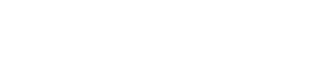 SeldenFox logo